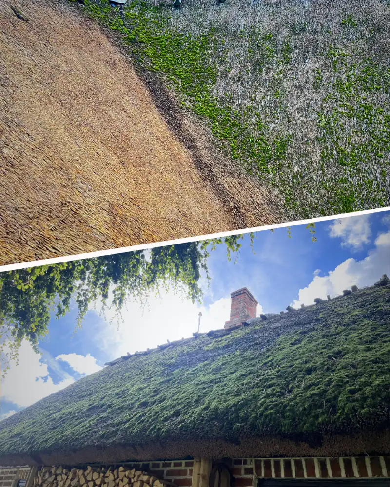 Mossborttagning på vasstak utförd för längre livslängd