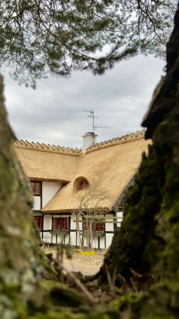 Färdigt nytt vasstak på ett hus i lövestad i Skåne